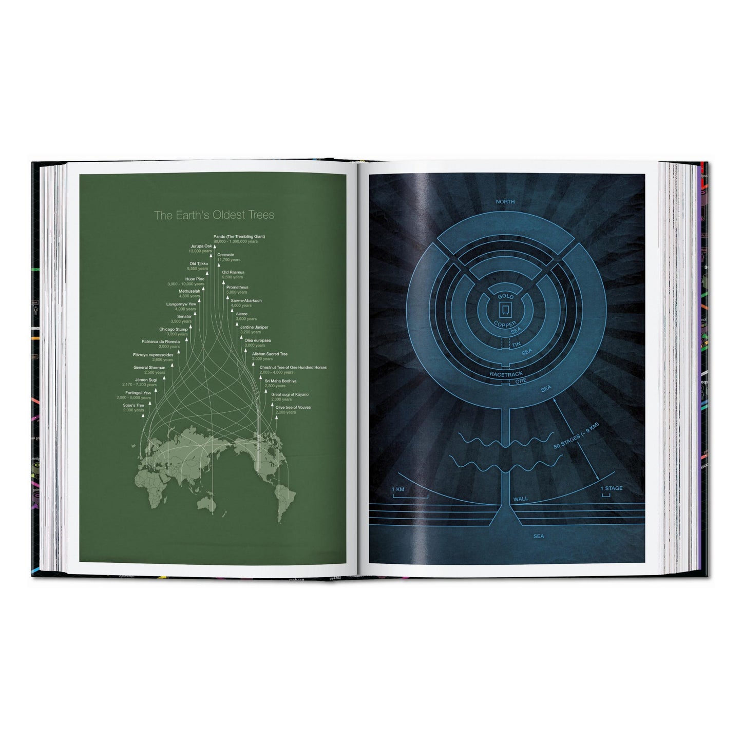 Information Graphics. 45th Ed. (English) Book