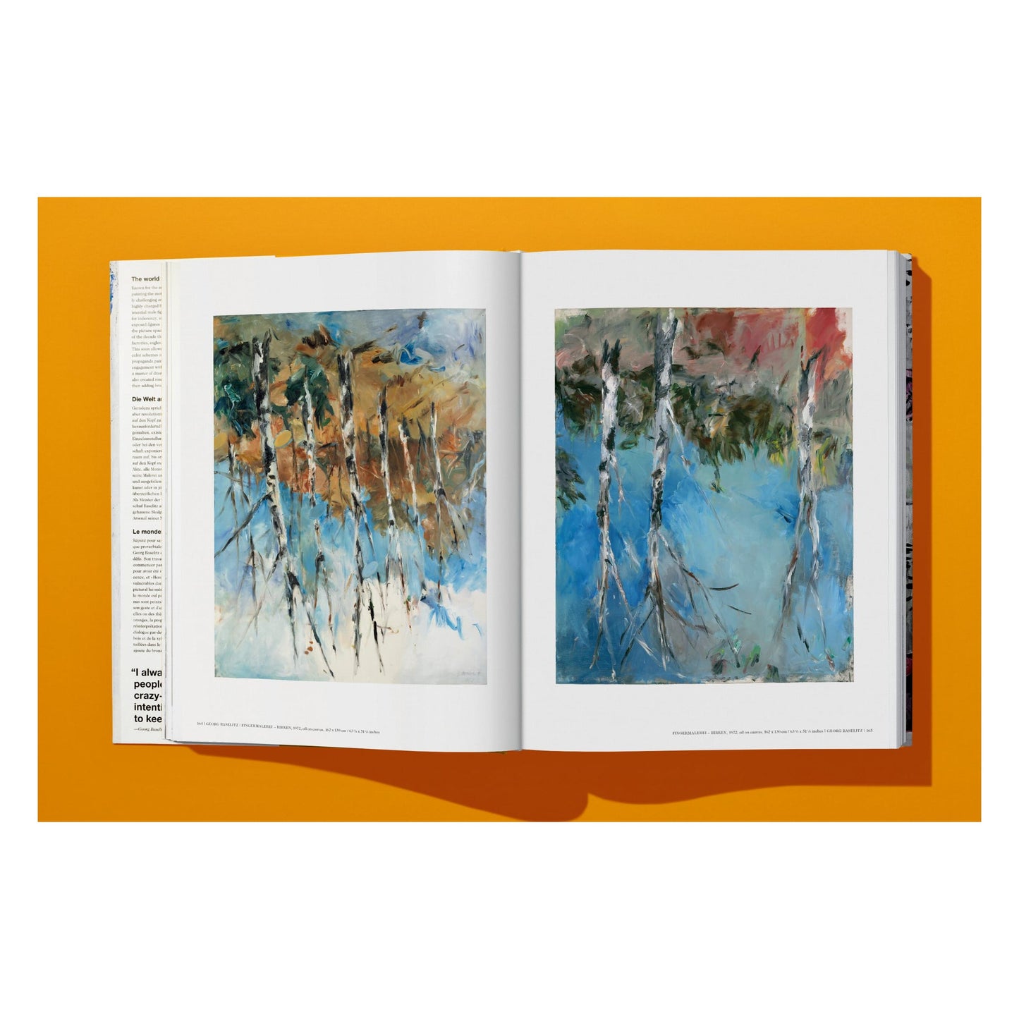 Georg Baselitz (German, French, English) Book