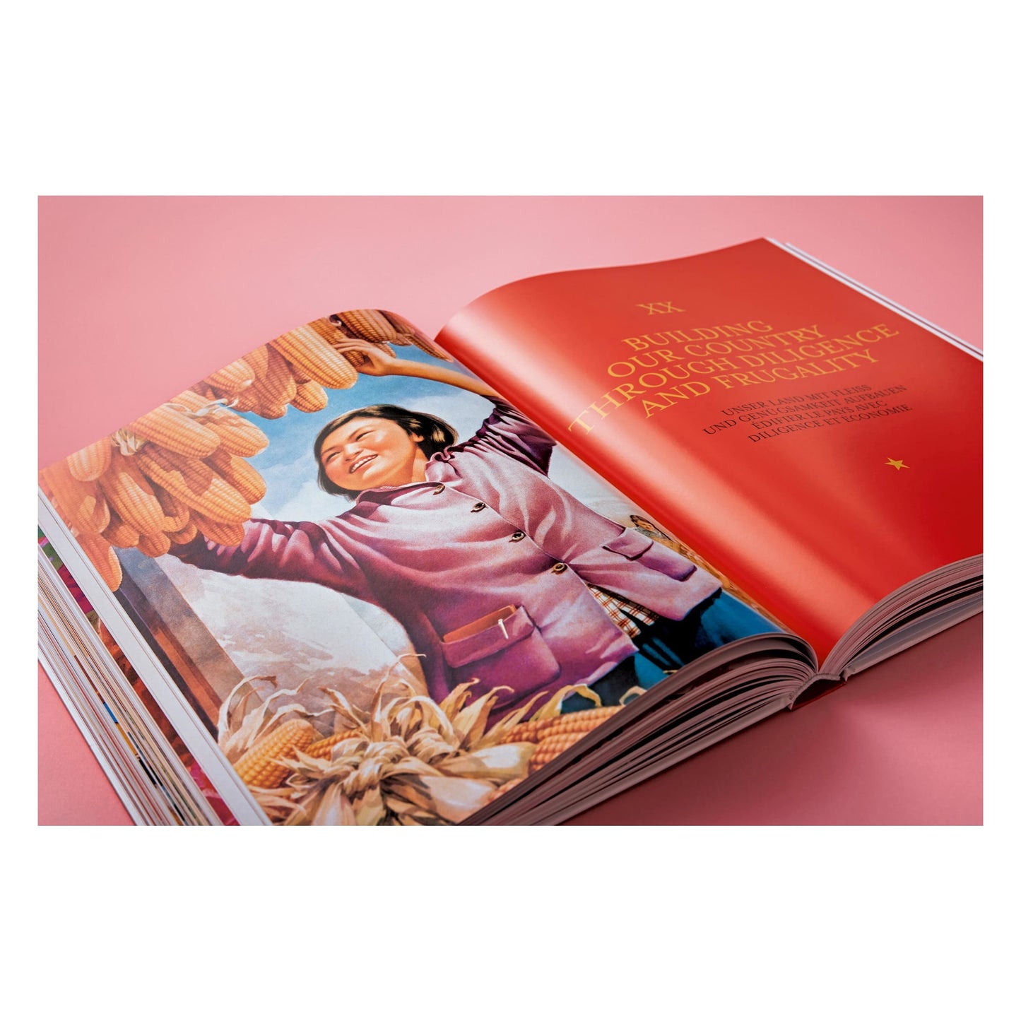 Chinese Propaganda Posters (German, French, English) Book
