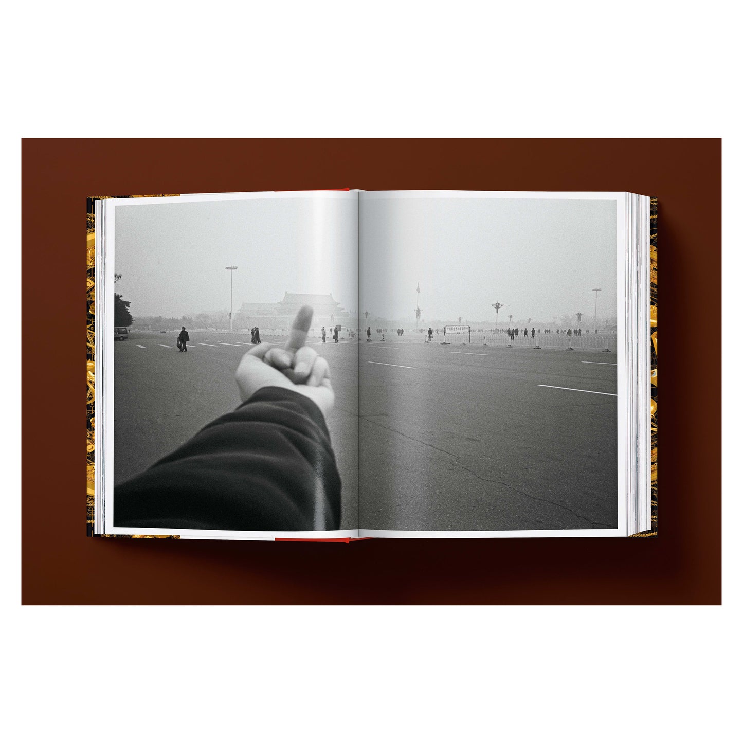 Ai Weiwei. Updated Edition (German, French, English) Book