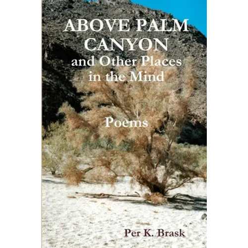 Above Palm Canyon and Other Places in the Mind