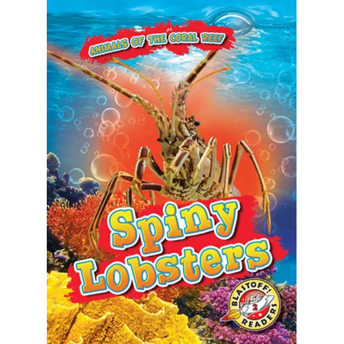 Spiny Lobsters
