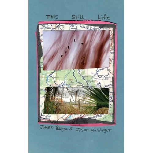 This Still Life