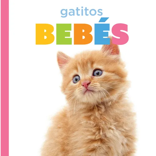 Gatitos Bebés