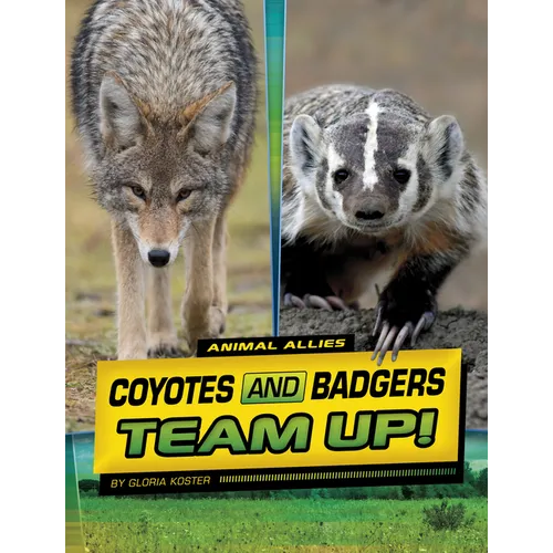 Coyotes and Badgers Team Up!