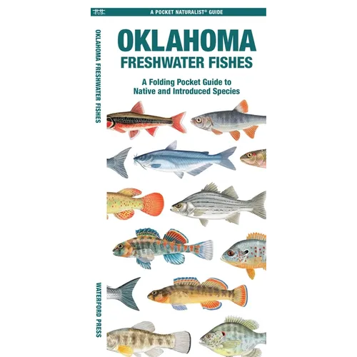 Oklahoma Freshwater Fishes: A Folding Pocket Guide to Native and Introduced Species