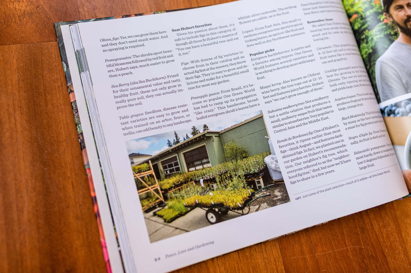 Peace, Love and Gardening: Understanding Pacific Northwest Gardens and Do-It-Yourself Projects to Beautify Them – From the Best of the Pecks' Columns Book