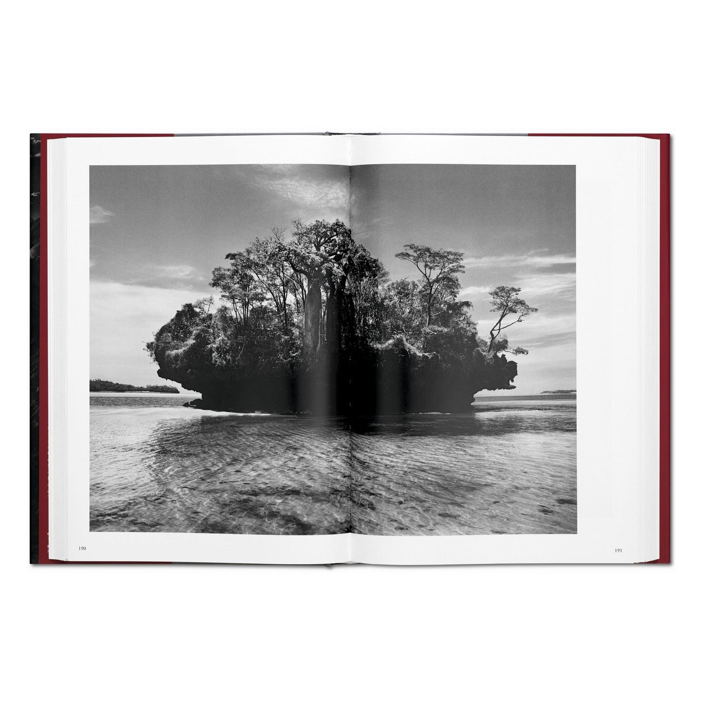 Sebastião Salgado. Genesis (English) Book