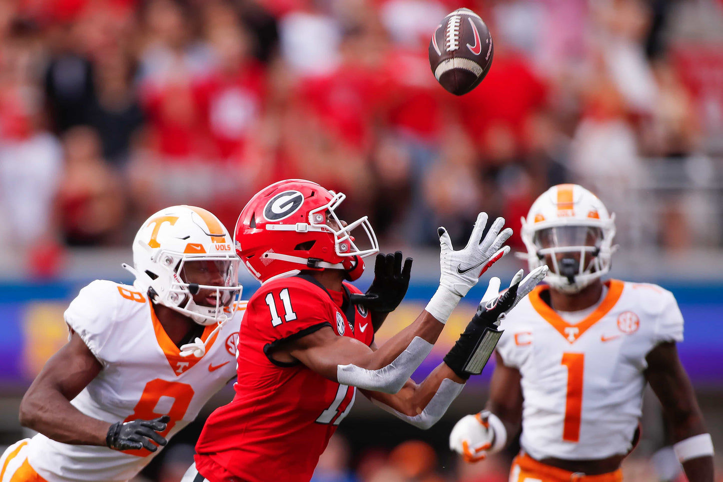 Glorious: Georgia Secures Its Second Consecutive National Title with a Perfect Season Book