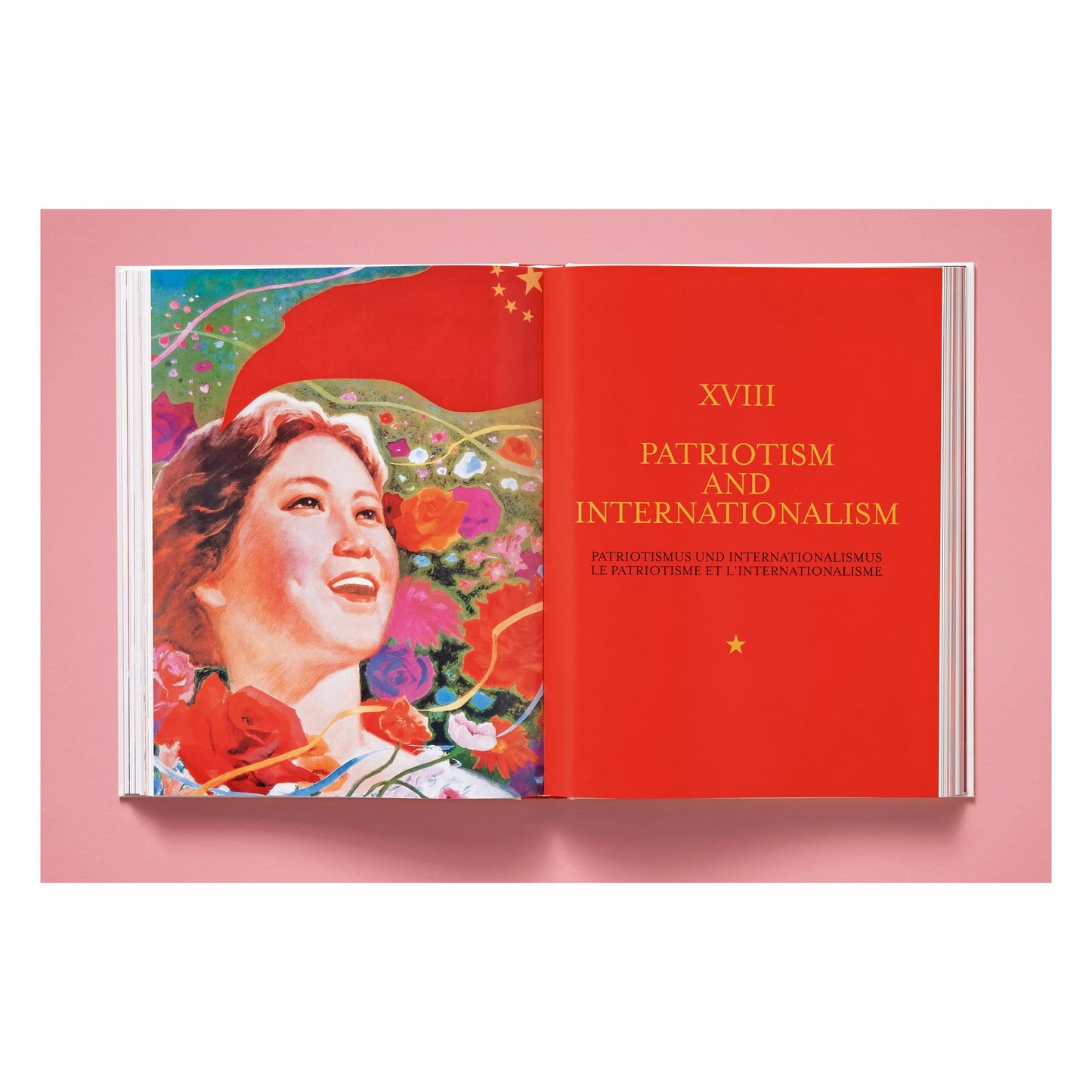 Chinese Propaganda Posters (German, French, English) Book