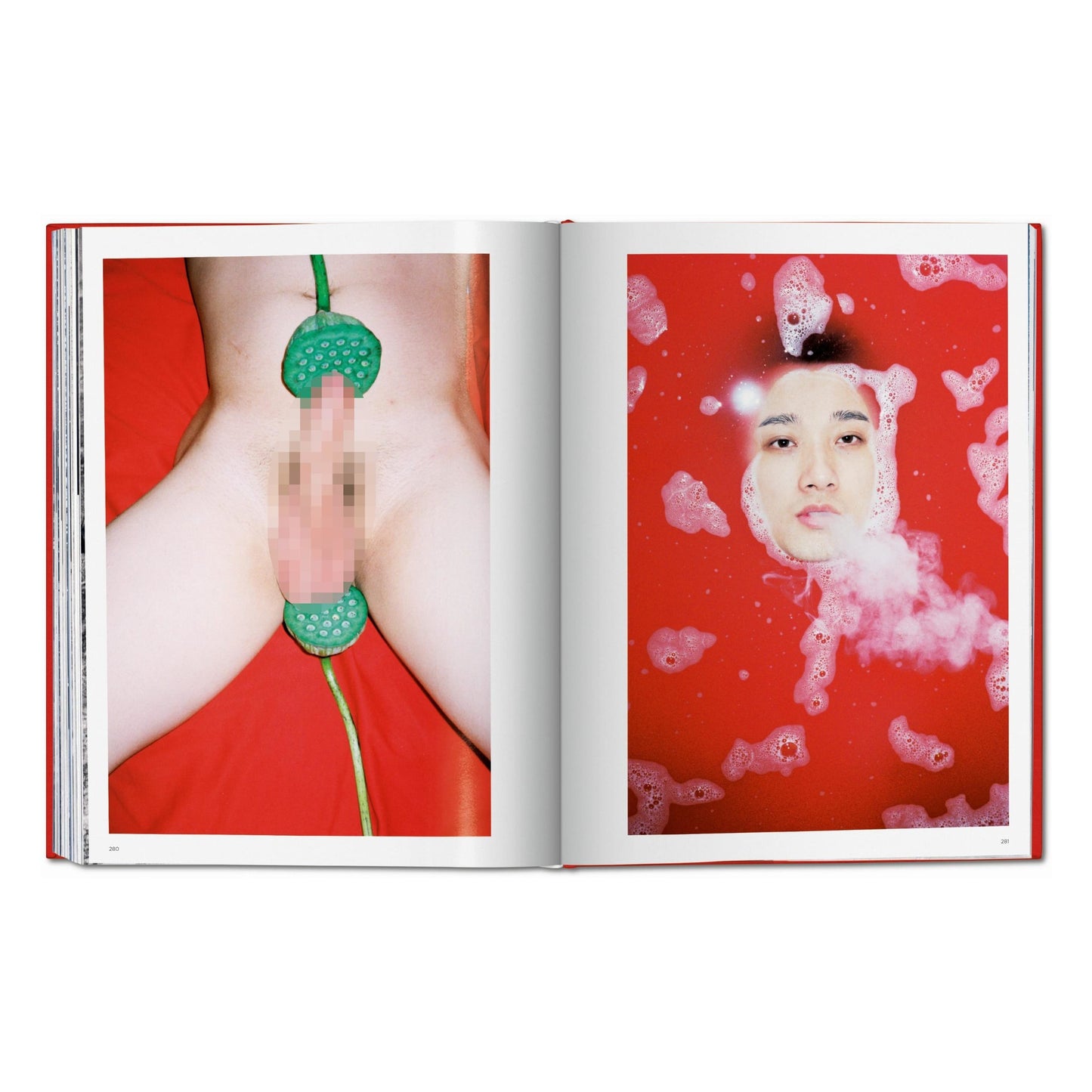 Ren Hang (German, French, English) Book