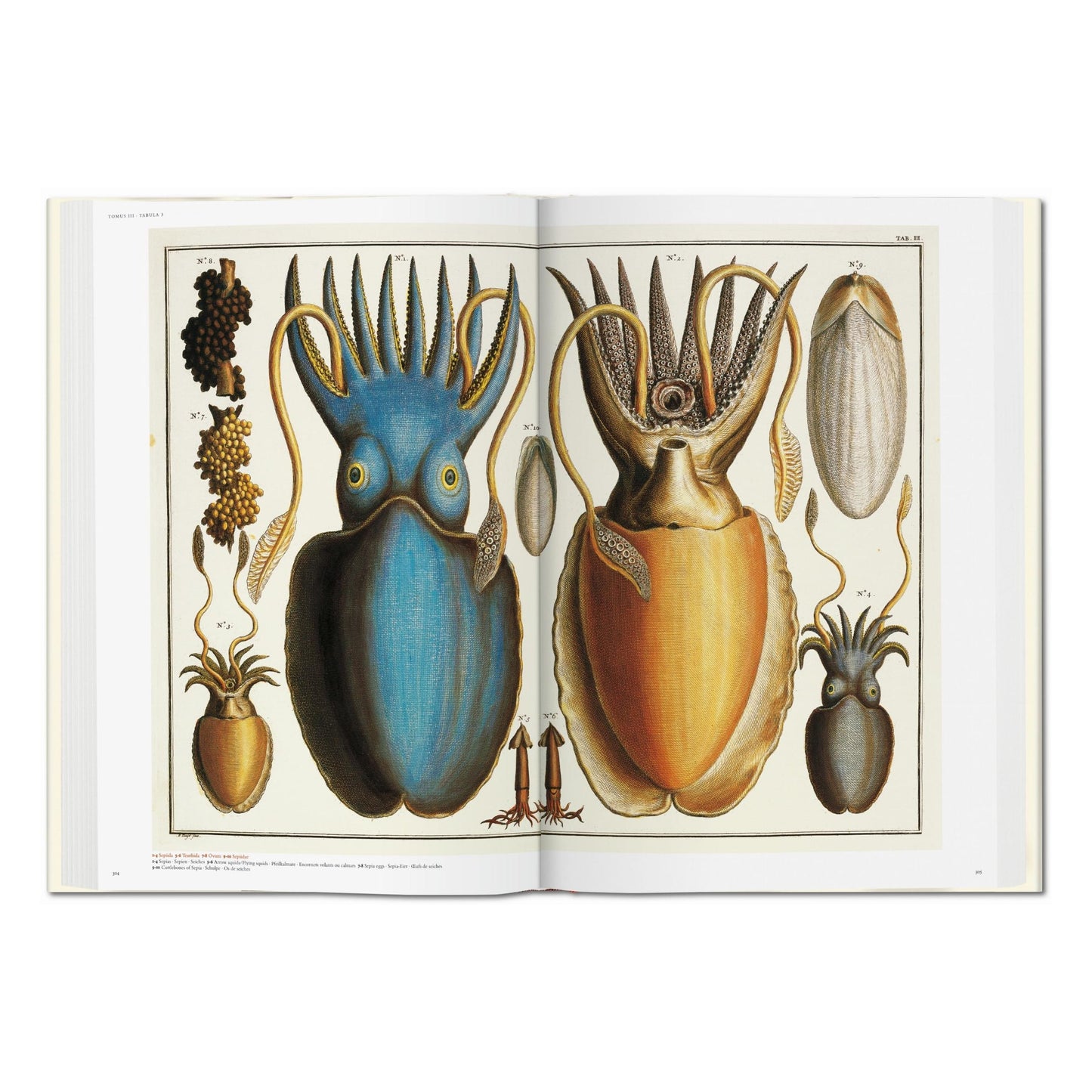Seba. Cabinet of Natural Curiosities (German, French, English) Book