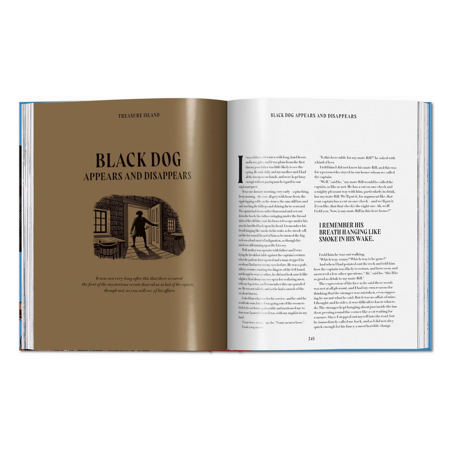 Pirate Tales (English) Book