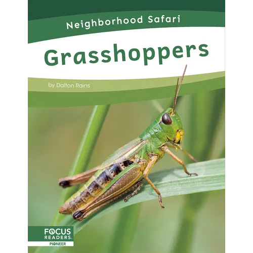 Grasshoppers - Paperback