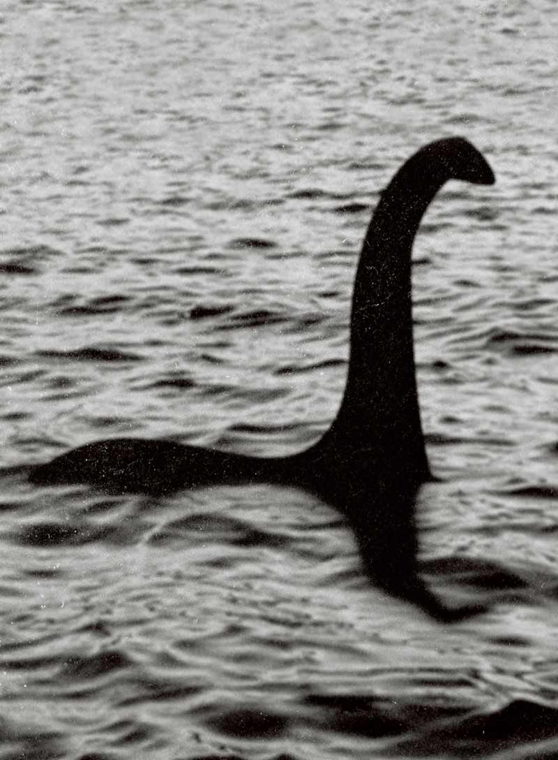 Loch Ness Monster - Unsolved Mystery, Nessie, Prehistoric, Scottish Highlands, Sightings, Secrets, Evidence, Zoology, Scientific Studies, Facts & Fiction, Literature, Theories, Debunking & Believers!