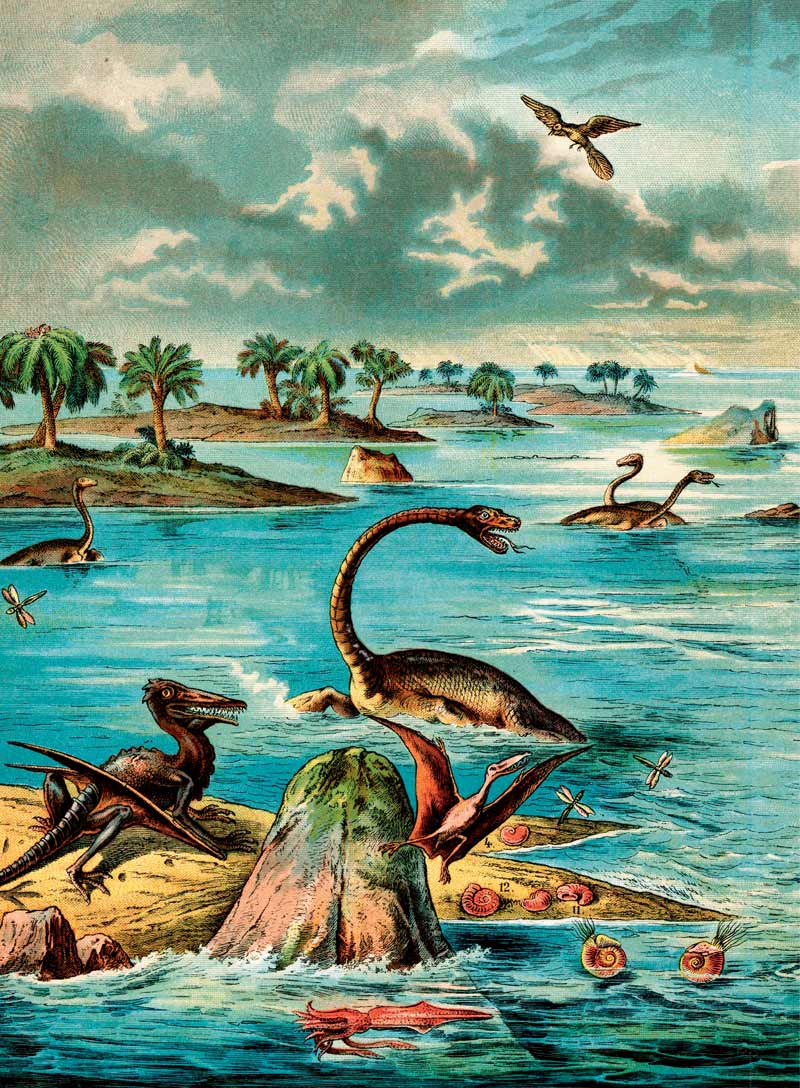 Loch Ness Monster - Unsolved Mystery, Nessie, Prehistoric, Scottish Highlands, Sightings, Secrets, Evidence, Zoology, Scientific Studies, Facts & Fiction, Literature, Theories, Debunking & Believers!