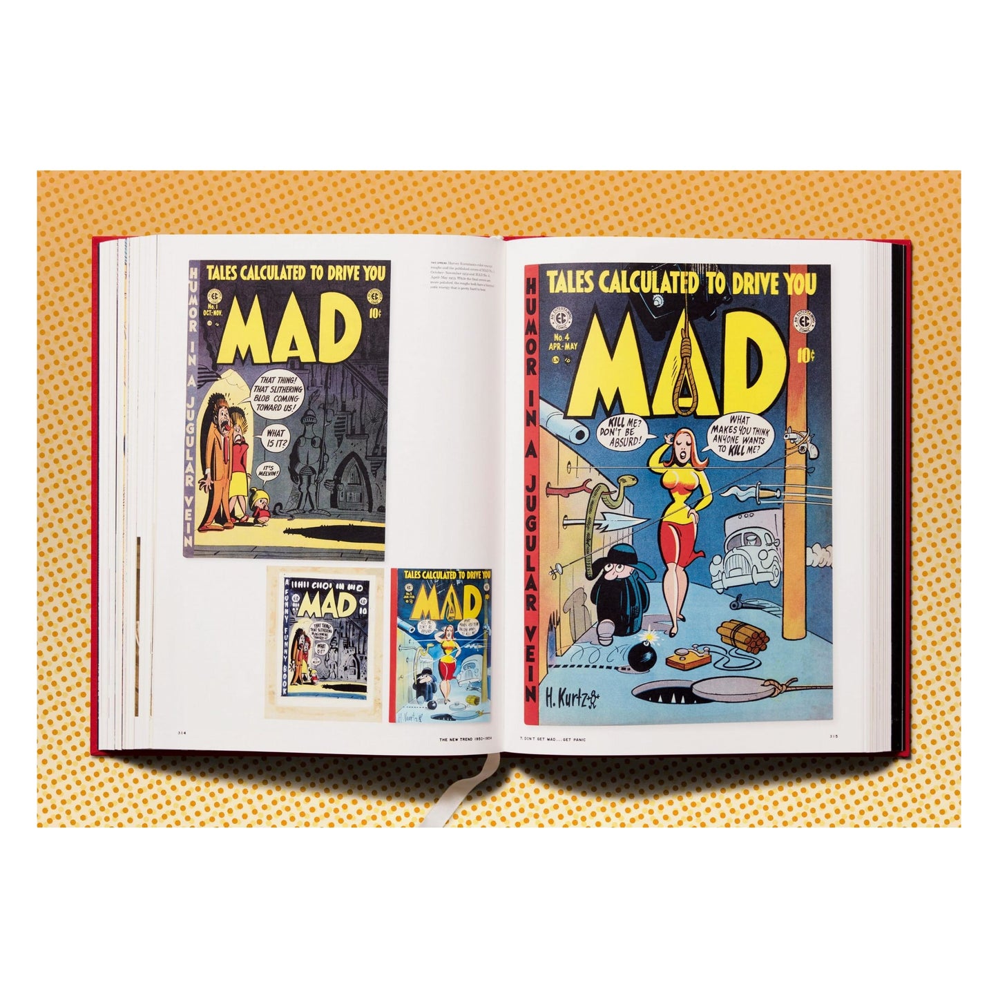 The History of EC Comics (English) Book