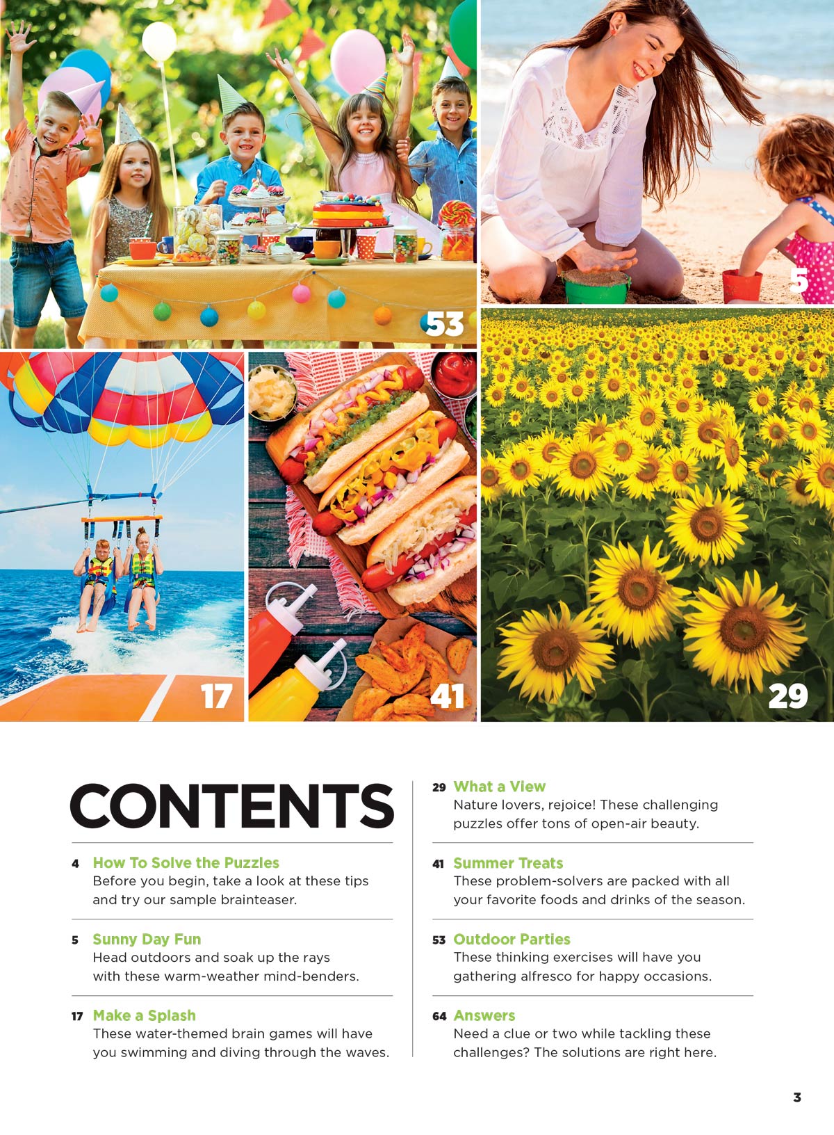 Brain Fun - Picture Puzzles: Spot 300 Differences, Ultimate Brain Challenge, Summer Edition, Sunny Day Fun, Vacation Views, Summer Treats, Outdoor Party Scenes, Unwind, Unplug, Relax, Solve & More!