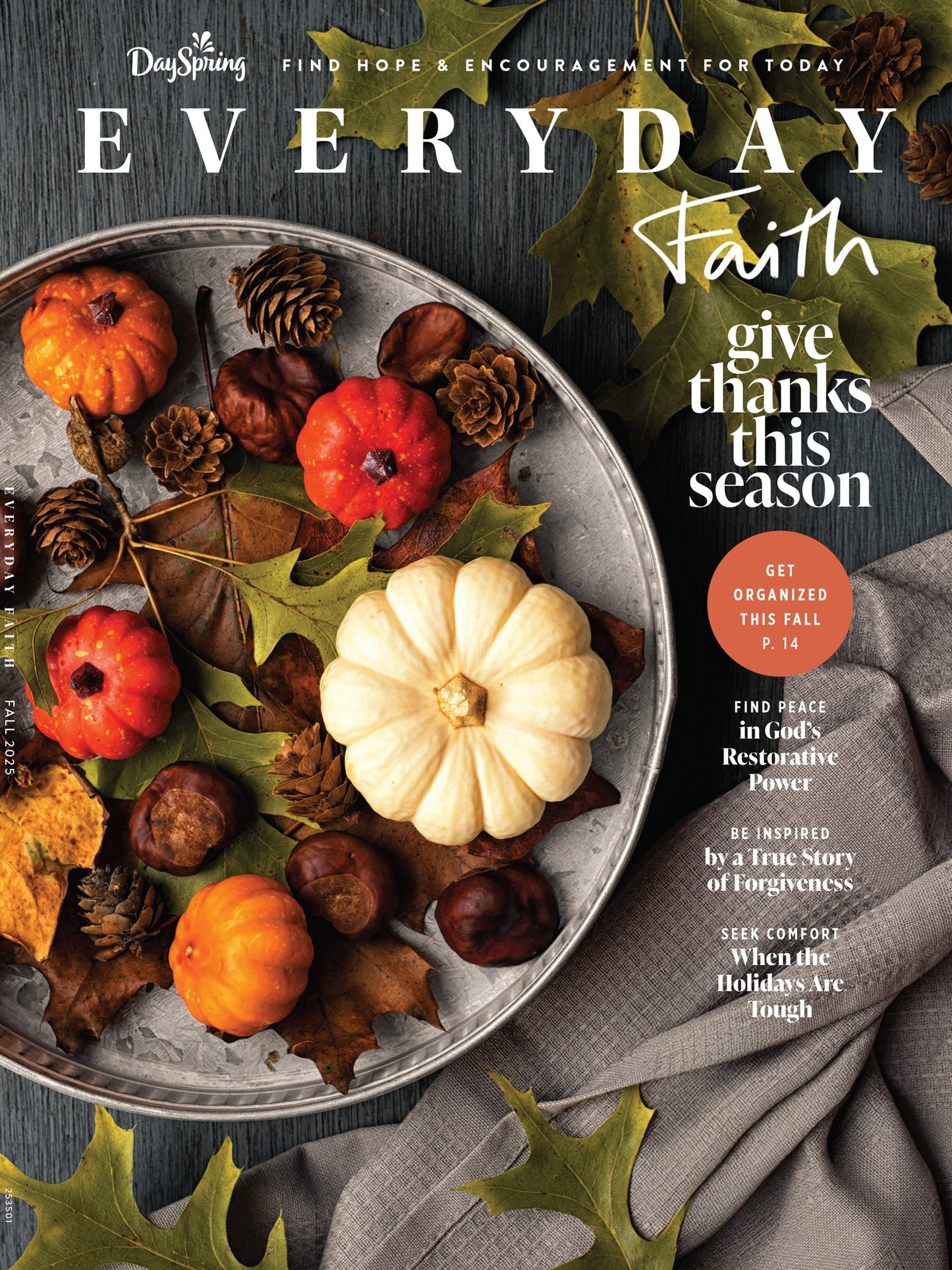 Dayspring - Fall 2025: Everyday Faith, Find Hope & Encouragement, God’s Restorative Power, Give Thanks, Discover Peace, Find Strength, Uplifting Stories, Seek Comfort During The Holidays & More!