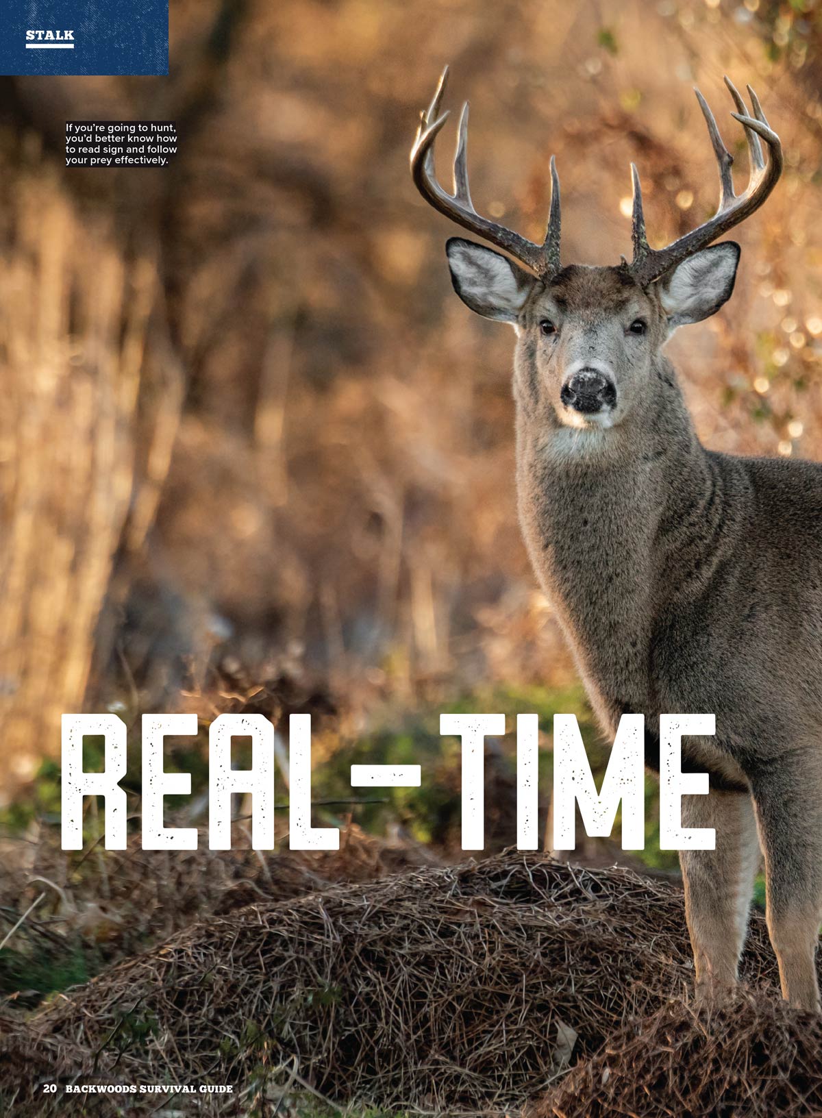 Backwoods Survival Guide - Living Off The Land No. 35: 200+ Tips, Self Reliance Skills, Wilderness Necessities, Homesteading Tips, Burns Care, Outdoor Nutrition, Camp Cookware, Cordage & More!