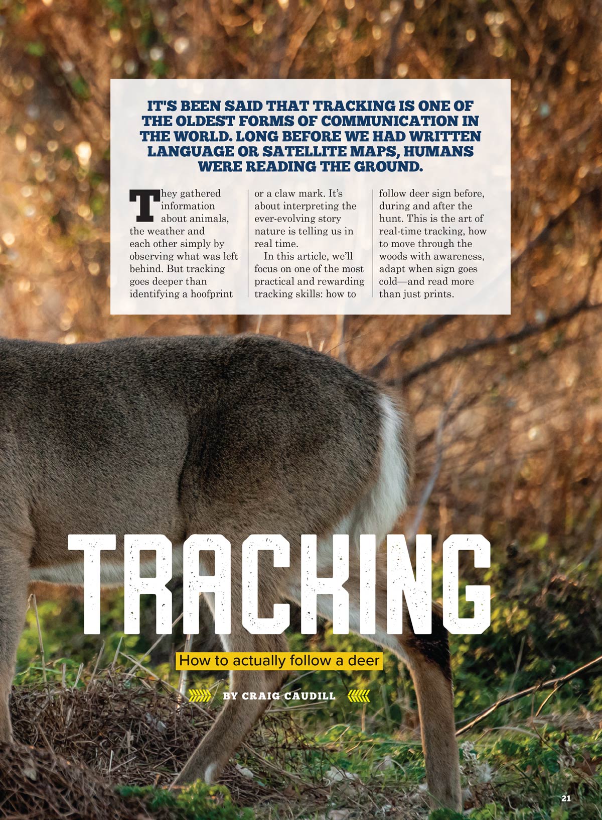 Backwoods Survival Guide - Living Off The Land No. 35: 200+ Tips, Self Reliance Skills, Wilderness Necessities, Homesteading Tips, Burns Care, Outdoor Nutrition, Camp Cookware, Cordage & More!