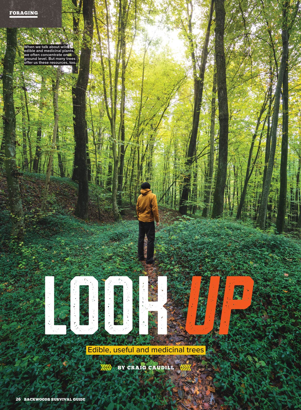 Backwoods Survival Guide - Living Off The Land No. 35: 200+ Tips, Self Reliance Skills, Wilderness Necessities, Homesteading Tips, Burns Care, Outdoor Nutrition, Camp Cookware, Cordage & More!