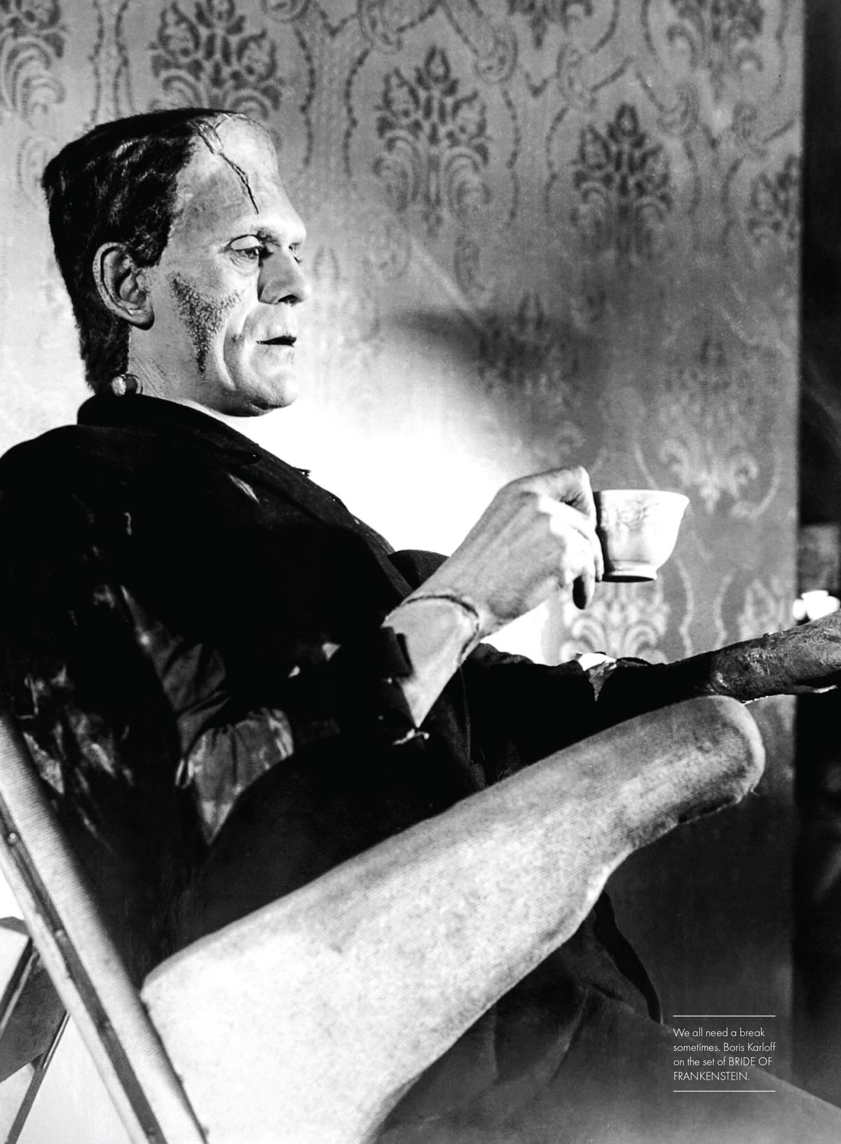 Fangoria Presents - Frankenstein: Guillermo Del Toro & Mike Hill's Exclusive Insights, Mary Shelley’s Creation, Frankenstein's Legacy, Universal’s & Hammer’s Adaptations, Evolution Of Horror & More!