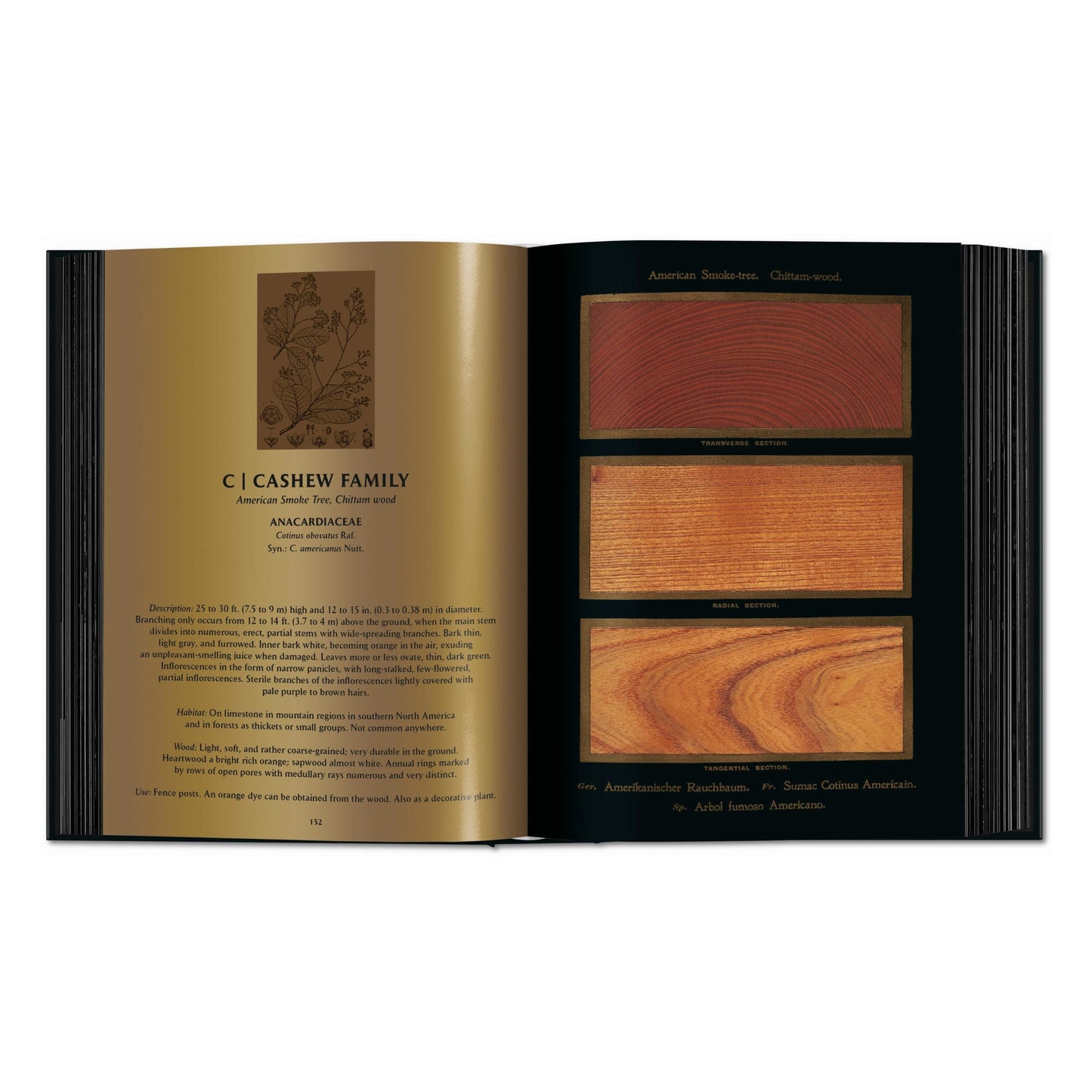 Romeyn B. Hough. The Woodbook. The Complete Plates (English) Book