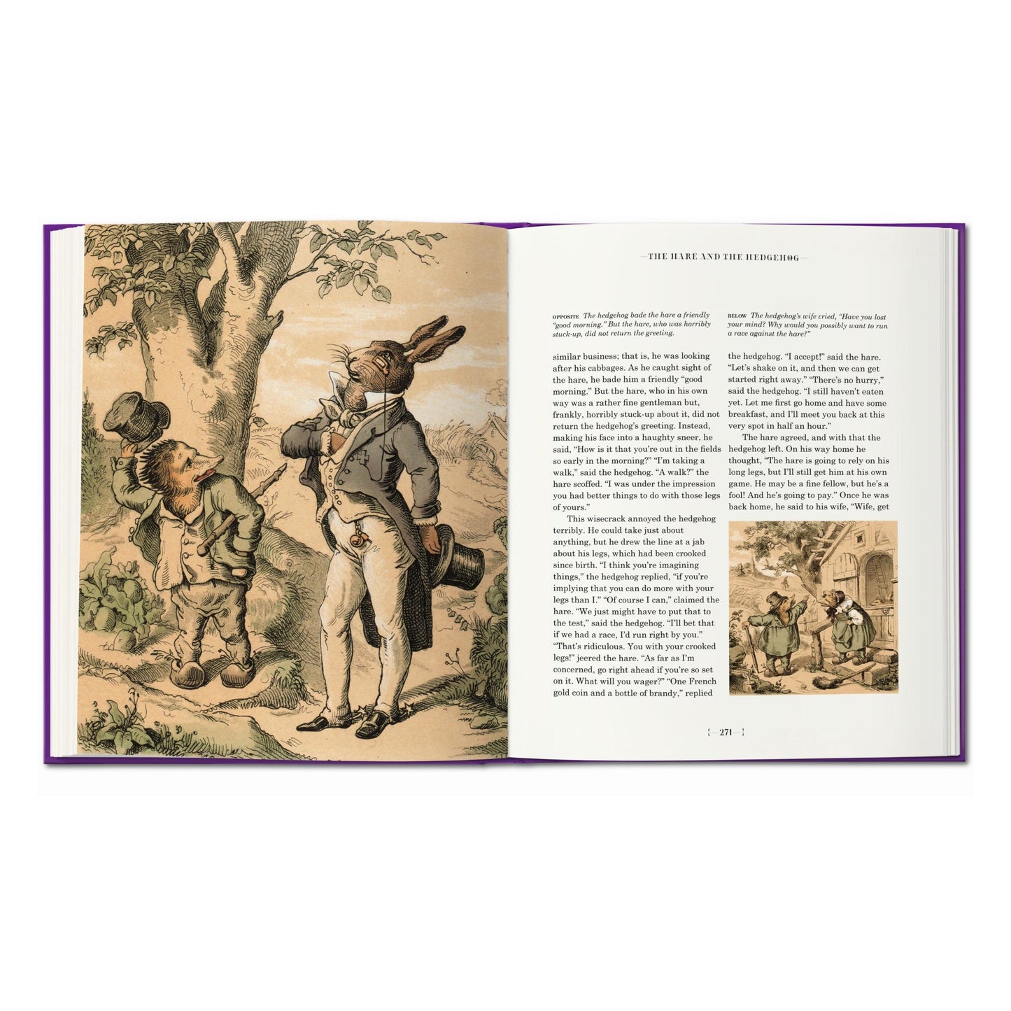 The Fairy Tales of the Brothers Grimm (English) Book