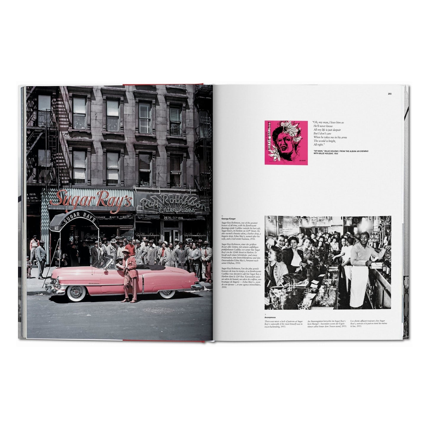 New York. Portrait of a City (German, French, English) Book