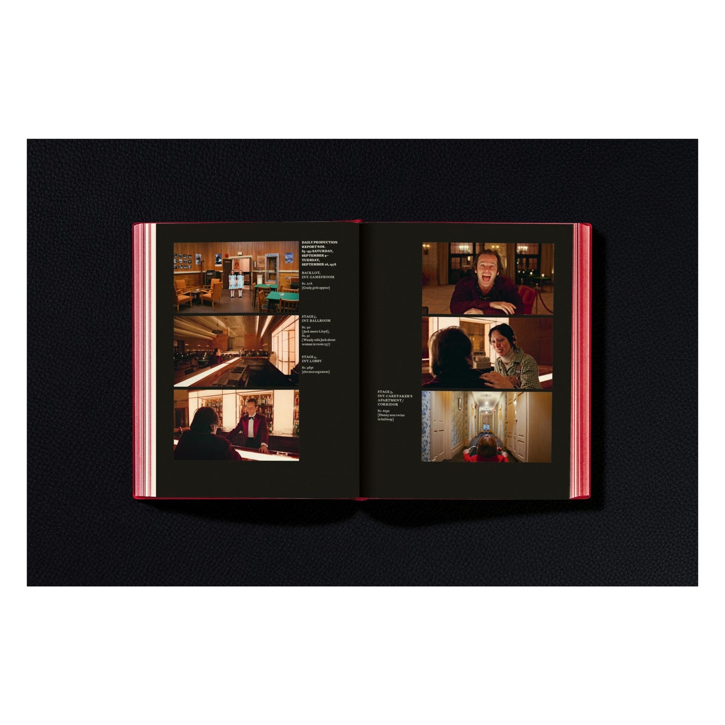 Stanley Kubrick's The Shining (English) Book
