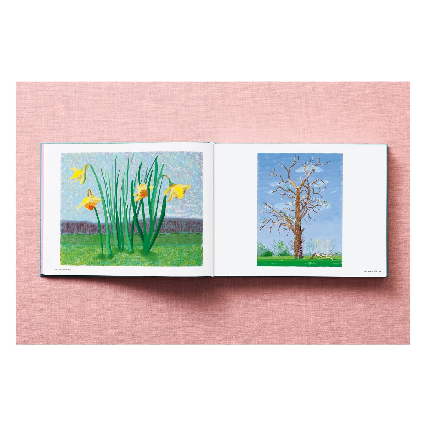 David Hockney. 220 for 2020 (English) Book