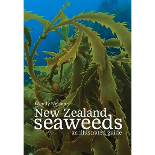 New Zealand Seaweeds: An Illustrated Guide