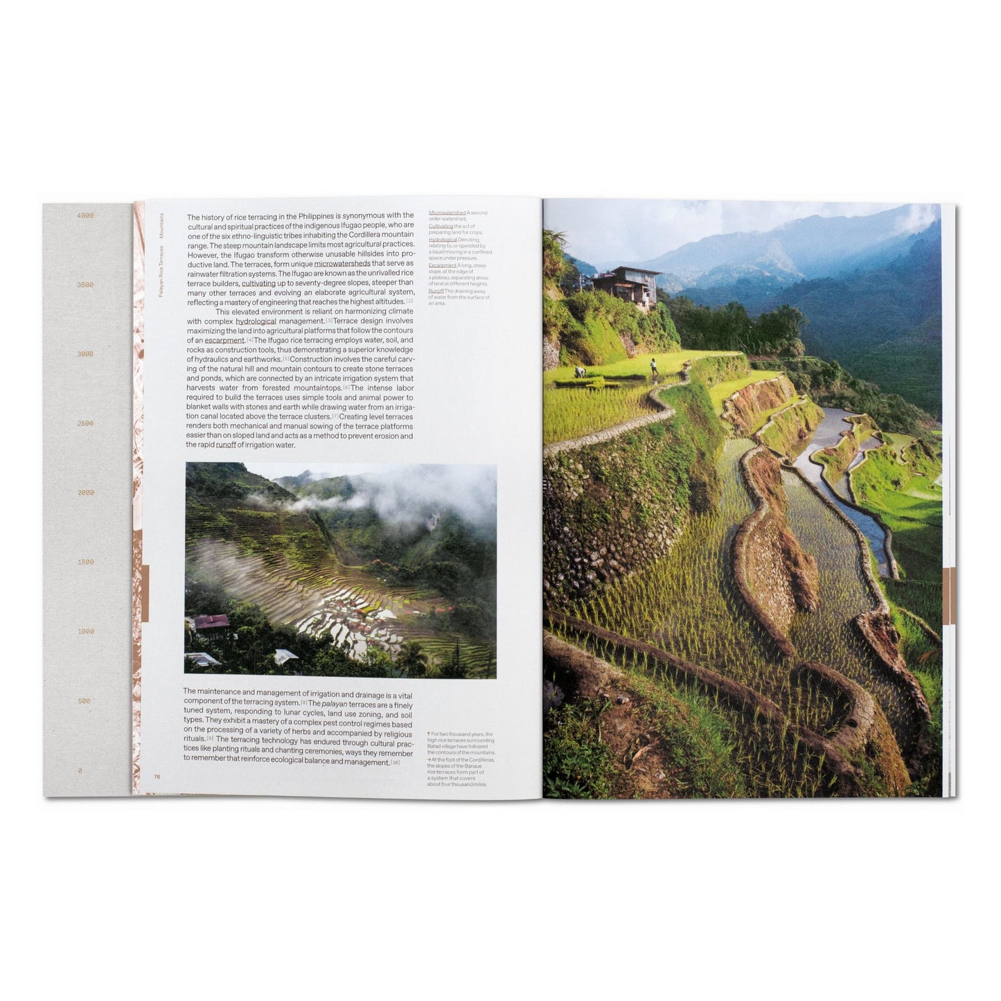 Julia Watson. Lo—TEK. Design by Radical Indigenism (English) Book