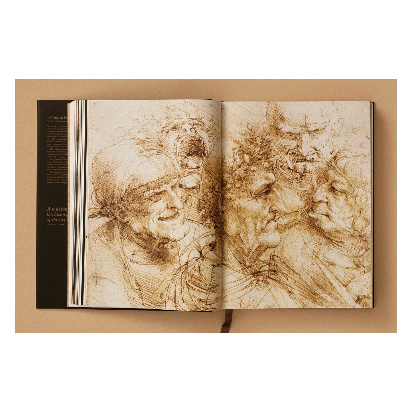 Leonardo. The Complete Paintings and Drawings (English) Book