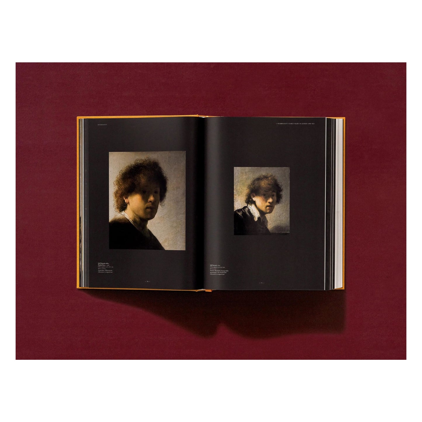 Rembrandt. The Complete Paintings (English) Book