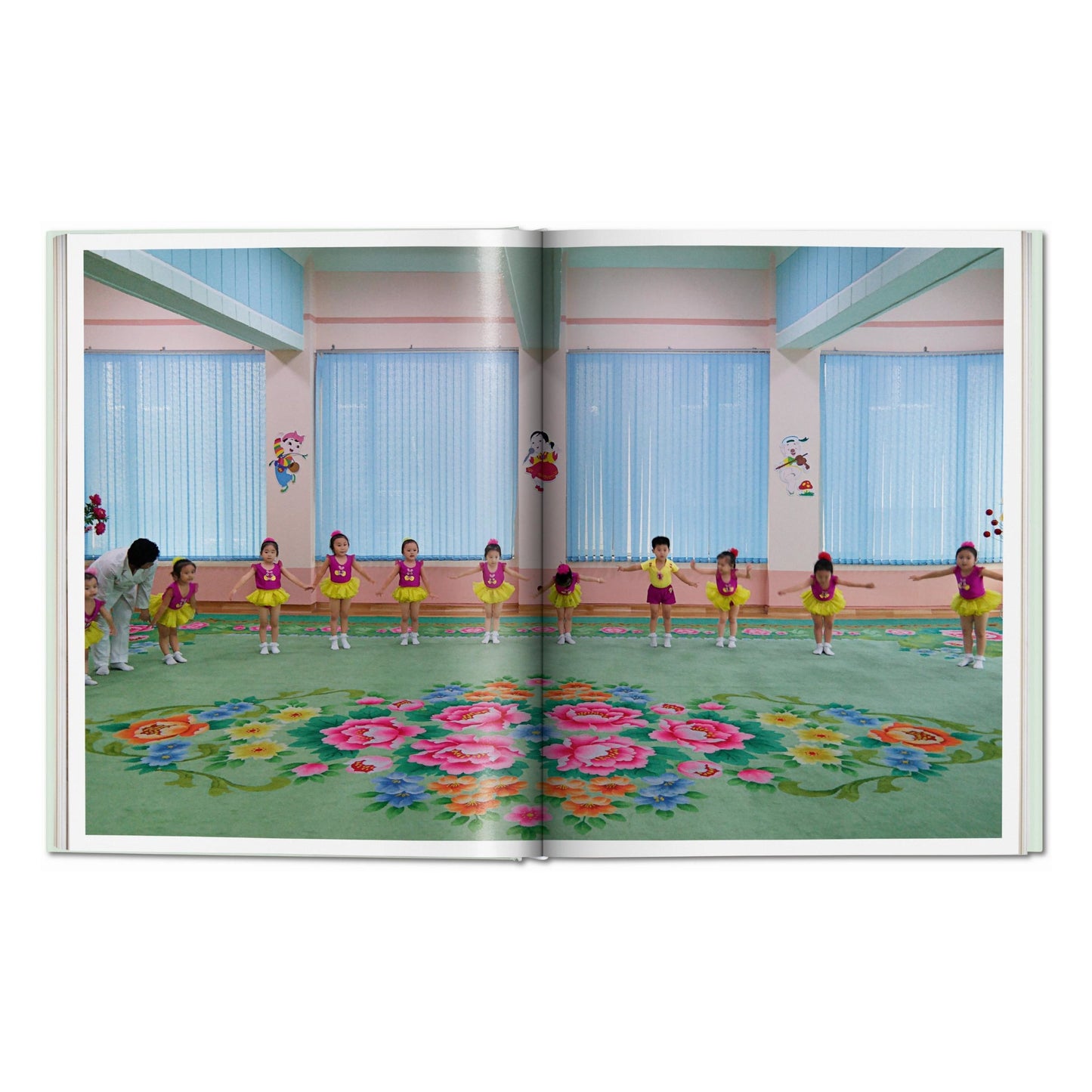 Inside North Korea (German, French, English) Book