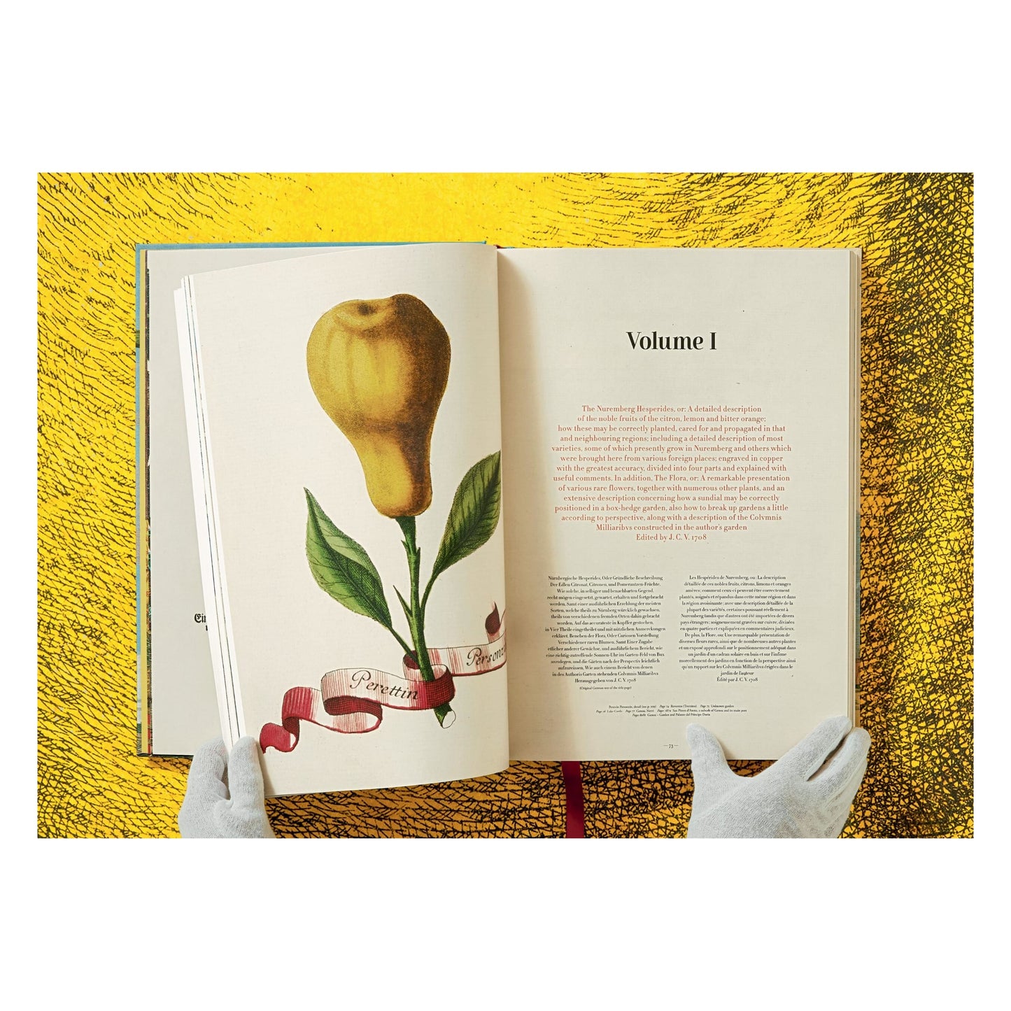 J. C. Volkamer. The Book of Citrus Fruits (German, French, English) Book