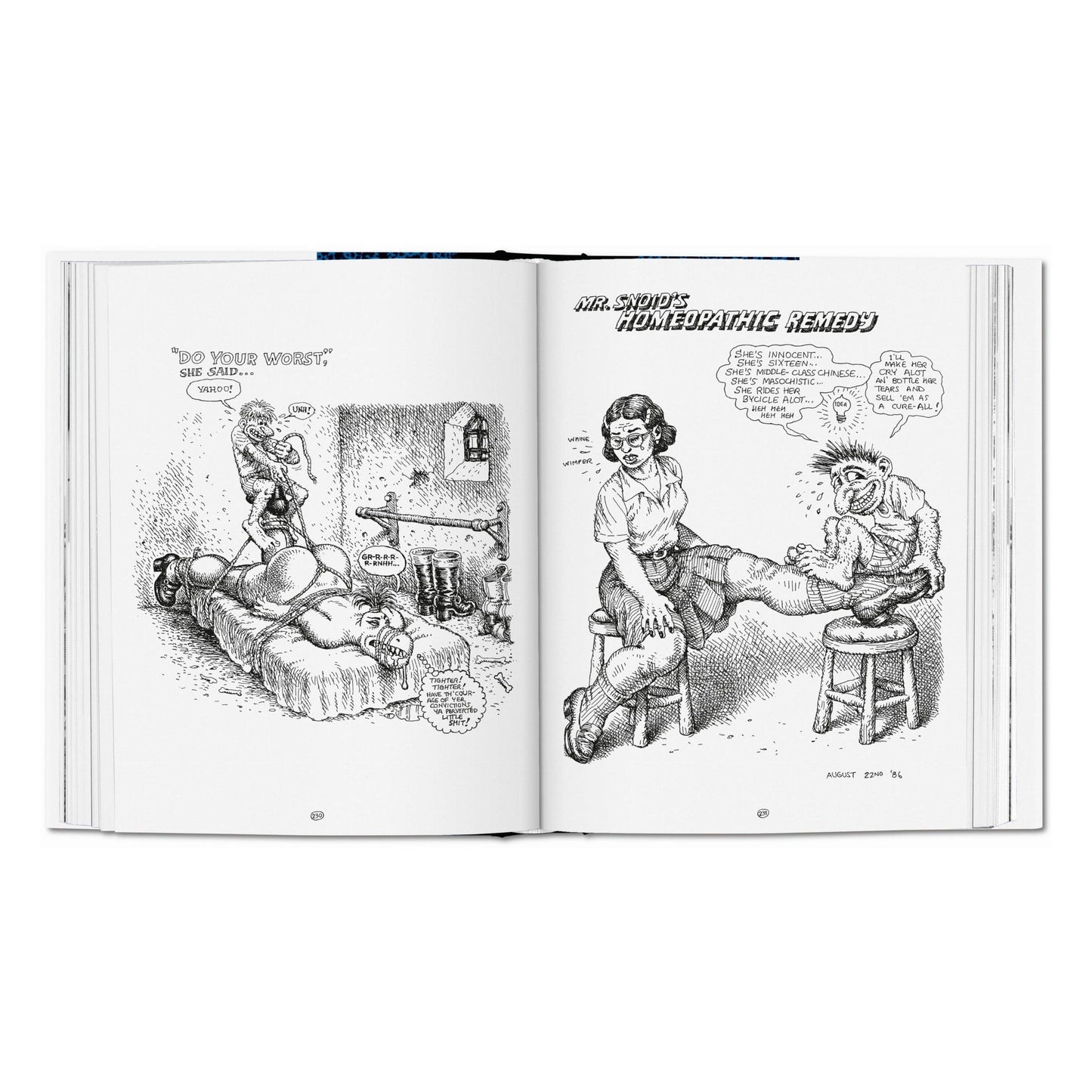 Robert Crumb. Sketchbook Vol. 4. 1982–1989 (English) Book