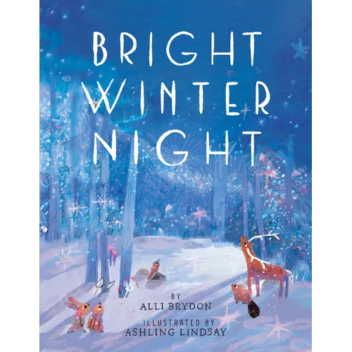 Bright Winter Night