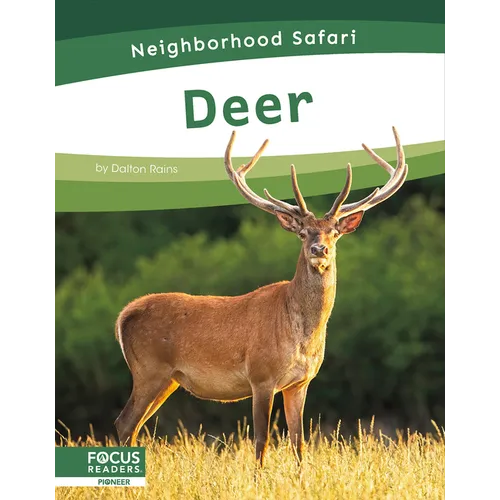 Deer