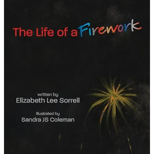 The Life of a Firework