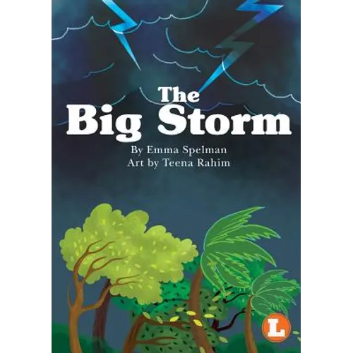 The Big Storm