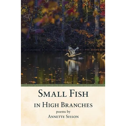 Small Fish in High Branches