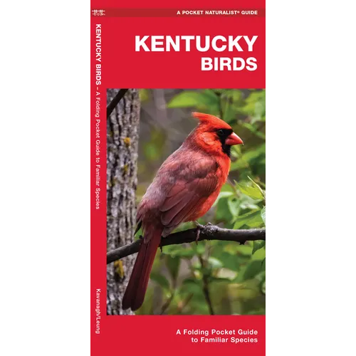 Kentucky Birds: A Folding Pocket Guide to Familiar Species