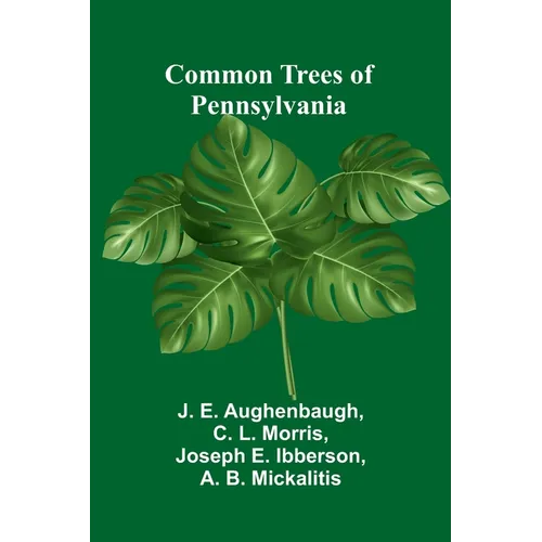 Common Trees Of Pennsylvania