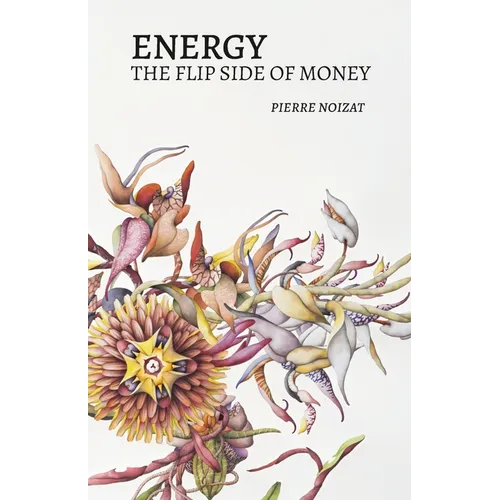 Energy, the flip side of money