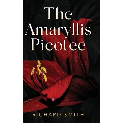 The Amaryllis Picotee