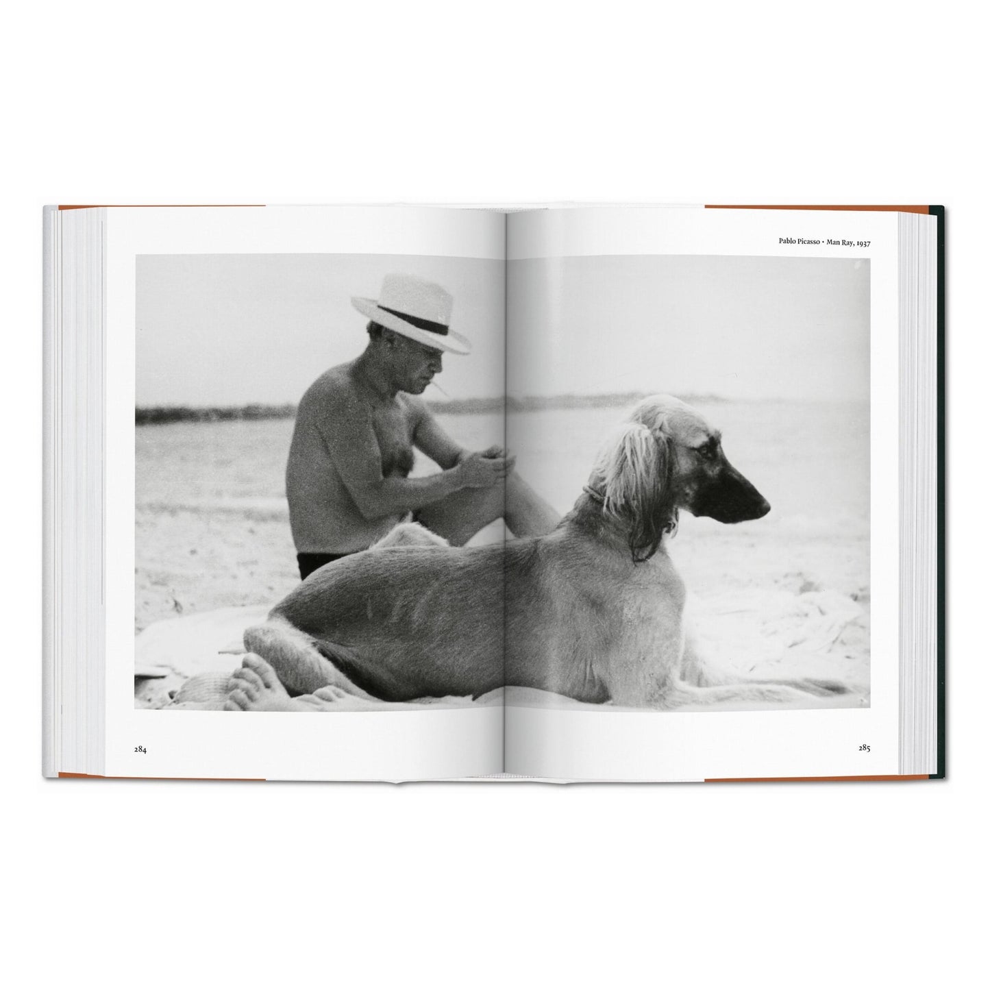 The Dog in Photography 1839–Today (German, French, English) Book