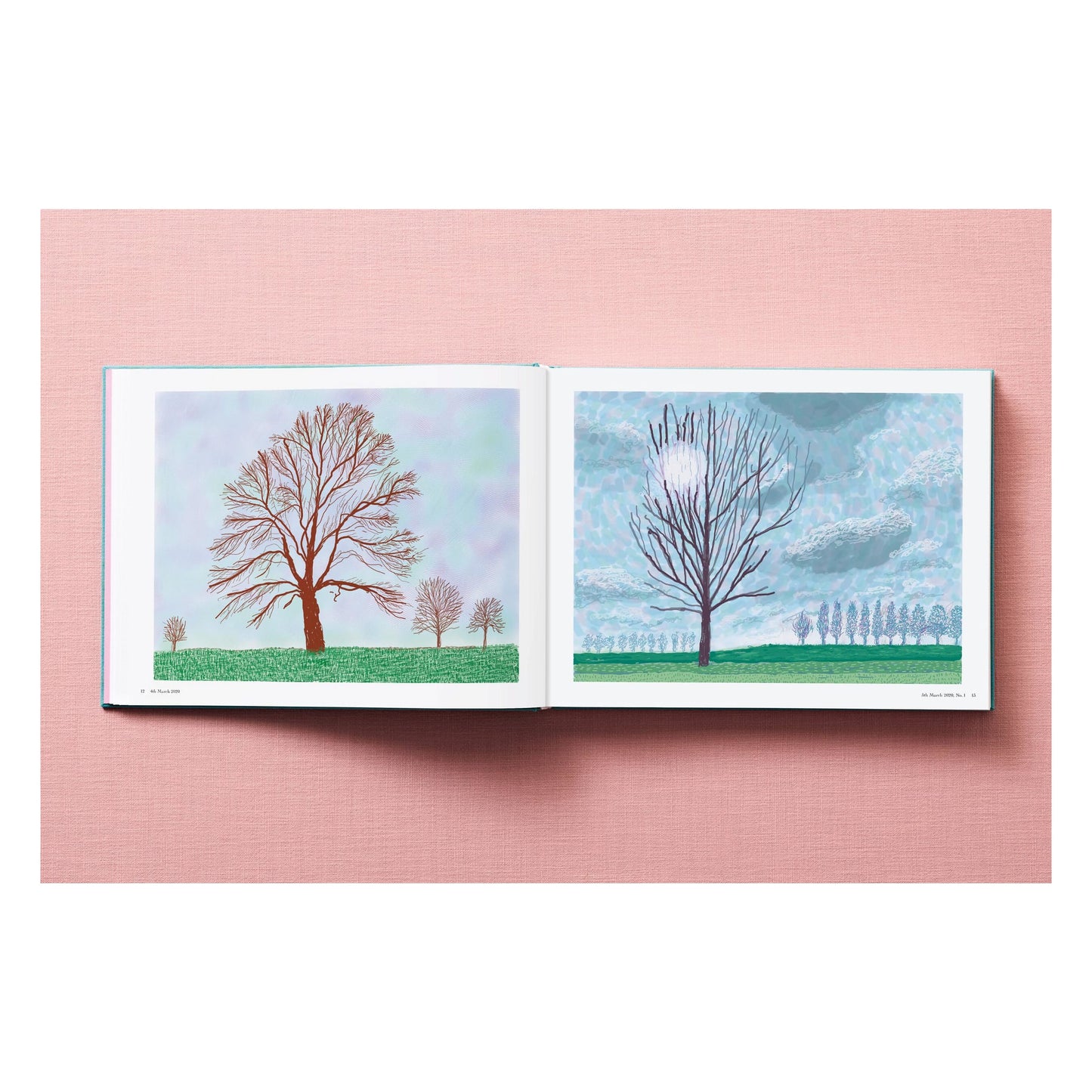 David Hockney. 220 for 2020 (English) Book